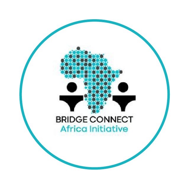 Bridge Connect